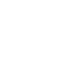 Experience
